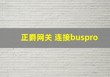 正爵网关 连接buspro